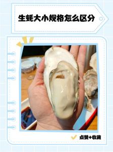 海蛎和生蚝的区别图_区别大，别买错！