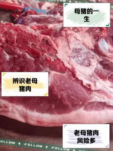 母猪肉跟什么煮熟的快_炖肉硬？加山楂白芷肉蔻，小火慢炖更软烂！