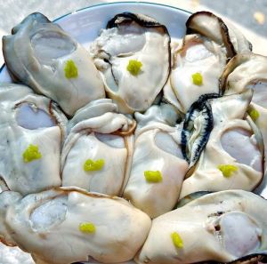 海蛎子生蚝对比图_生蚝与海蛎子怎么区分？