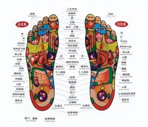 脚的各个部位叫法图_足部骨骼与按摩护理要点