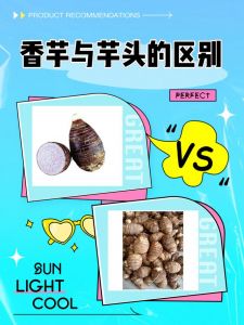 蒸芋头和煮芋头区别_蒸芋头原味营养，煮芋头软糯香甜