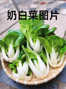 奶白菜和白菜有什么区别_口感营养大不同