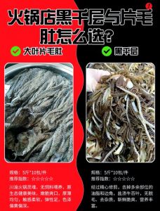 羊肚羊百叶的区别图片_羊肚百叶火锅好，百叶脆嫩快炒妙