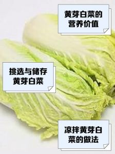 黄秧白和大白菜的区别_嫩黄耐腌，青翠宜炖