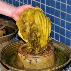酸菜在南北方有区别吗_南北酸菜风味不同，腌制方式与口感各异