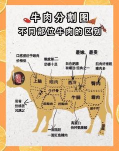 牛哪个部位的肉最软_里脊嫩，西冷香，肋眼好，上脑值