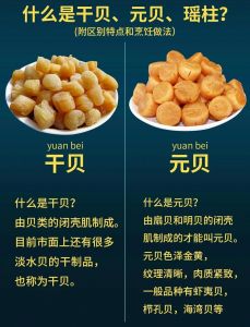 瑶柱和扇贝的区别_新鲜扇贝清蒸，瑶柱泡发煲汤提鲜