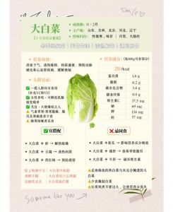 白菜含有哪些营养成分_白菜清热解酒助消化，增强免疫防便秘