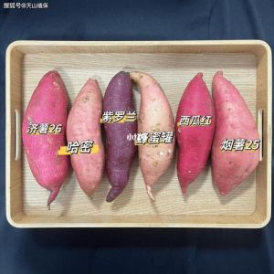 山芋和红薯有区别吗_外形口感营养有不同