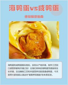 海鸭蛋和咸鸭蛋区别_海鸭蛋和咸鸭蛋哪个好？区别看这里！