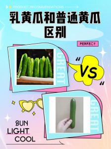 乳黄瓜和普通黄瓜区别_乳黄瓜腌美味，普通黄瓜拌更佳