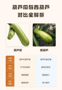 葫芦和瓠瓜的区别_葫芦瓠瓜怎么分？看腰皮花期！