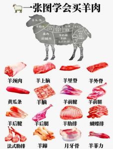 羊塞皮是羊哪个部位的肉_新疆特色烤羊脾，独特风味美食