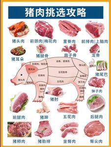 猪各部位肉的名称图解_梅花煎炸前腿小炒炖肘子炖汤腱子卤炖里脊快炒