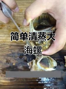 清蒸大海螺蒸几分钟_蒸海螺大小时间对，姜醋汁拌别放多