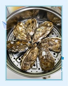 生蚝需要蒸几分钟_蒸生蚝时间看大小，小3-5分钟，大要防过火