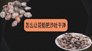 蚶子怎样才能把沙吐干净_浸泡搓洗热刺激，烹饪前去肠加酱料