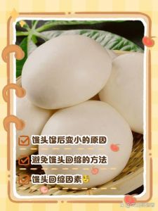 蒸馒头为什么半小时40分钟_蒸馒头要多久？发酵大小锅性能都影响
