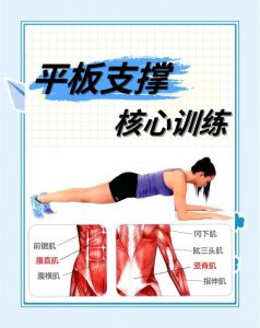 体育生腹肌抱腰操1小时反差：塑造完美线条的锻炼做法分享