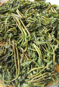 香椿芽腌制方法_香椿腌着吃，保鲜又美味！