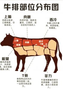 和牛牛肉部位肉详细分解图_图解和牛分割部位，看懂牛肉怎么选怎么吃！