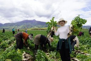 四川萝卜干的制作方法全过程_自制萝卜干，爽脆可口，超简单！