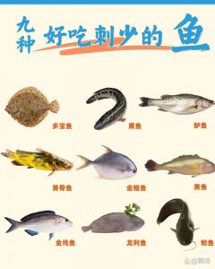 肉嫩刺少的鱼有哪些_小黄花龙利鱼银鲳鲅鱼，鲜嫩无刺，简单实惠！