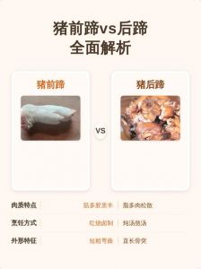 猪前蹄和猪后蹄怎么区别_外形肉质易辨别