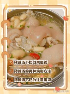 猪蹄汤(下奶)的最正宗做法_猪蹄汤加料催乳食谱