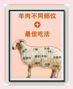生切羊肉哪个部位好_羊肉部位挑对，吃出好口感！