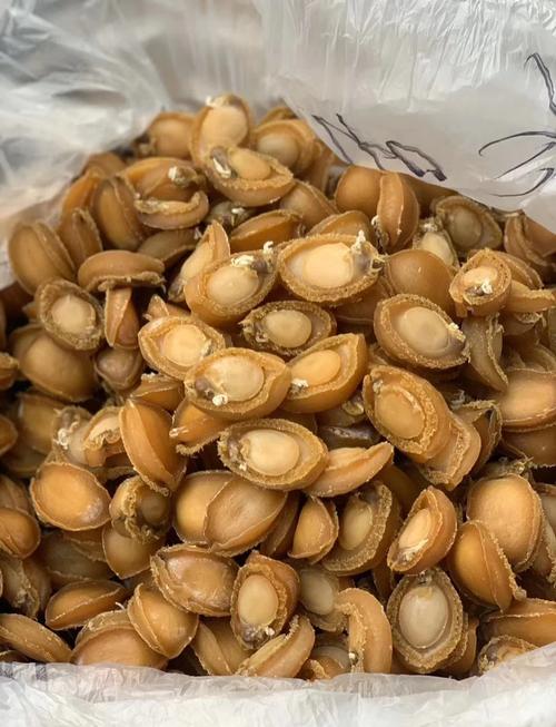 泡发鲍鱼的家常做法_鲍鱼泡48小时再炖煮，猪脚鲍鱼煲入味