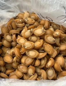 泡发鲍鱼的家常做法_鲍鱼泡48小时再炖煮，猪脚鲍鱼煲入味