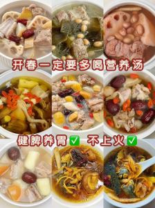 炖合菜的家常做法大全窍门_快熟豆芽腌肉炖菜春饼炖豆腐做法
