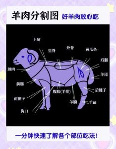 羊绒的羊部位图解_羊绒贵柔暖，羊毛耐穿选哪个？