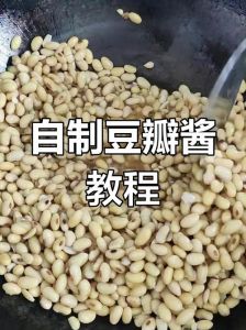 老式发酵酱豆家常做法_传统日晒与现代速成法