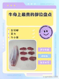 牛腩是牛的哪个部位贵吗_牛肉各部位特点及选购指南
