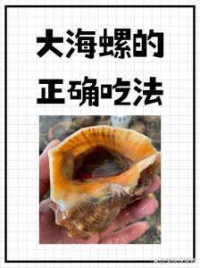 深水薄皮大海螺的做法_大海螺肉质鲜美，挑选处理烹饪方法全攻略
