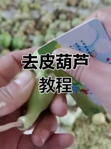 葫芦怎么打皮图解_葫芦打白皮，手把手教程