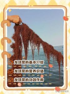 为什么龙须菜用热水烫后化了_龙须菜这样煮才脆嫩，不同做法营养各不同