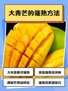 青芒果怎样才算熟了_青芒果怎么挑？看颜色闻香味，轻松变成熟芒果！