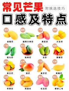 怎么判断芒果熟没熟_挑选香甜青芒小妙招