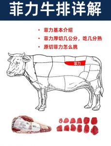牛菲力是牛的什么部位_外脊与背脊的顶级享受