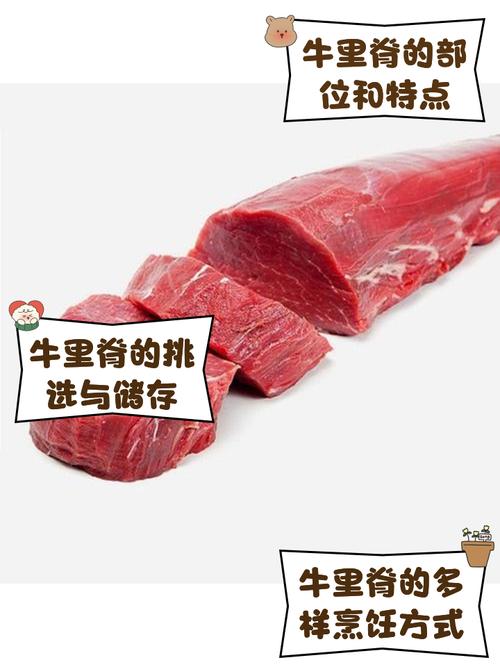 牛里脊部位图片_牛肉部位图解，选肉好帮手！