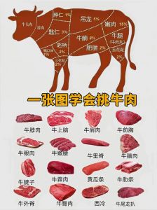 牛身上部位图片大全_里脊嫩烤，牛腩炖鲜