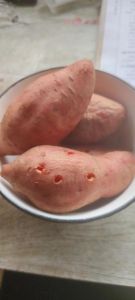 红薯蒸多久可以熟_蒸红薯多久熟？大小锅具决定时间