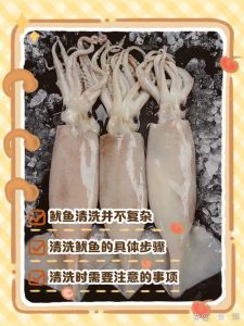 小鱿鱼仔焯水几分钟_小鱿鱼仔焯水时间，白灼做法简单美味