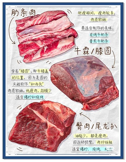 牛肋条下边有一坨厚肉图解_牛肉部位怎么选?厚肉肋排牛排各适啥做法? 牛肋条下边有一坨厚肉图解_牛肉部位怎么选?厚肉肋排牛排各适啥做法?