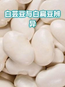 白扁豆白芸豆对比图_烹饪食材大不同