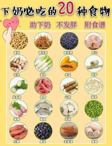 哺乳期的营养秘诀：吃肉的仙女们如何科学搭配美味又健康的菜肴