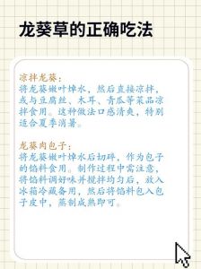 男校里的小男仆：趣味冰棒制作与美味分享秘诀